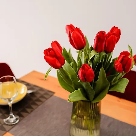 Apartment Dorobantilor *