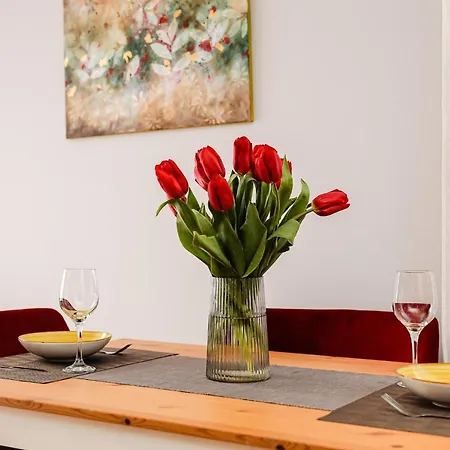 Apartment Dorobantilor Cluj-Napoca