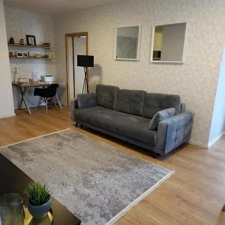 Apartment Dorobantilor *