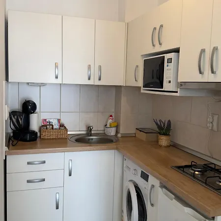 Apartment Dorobantilor *