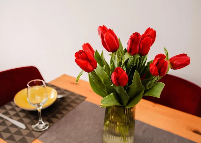 Daire Dorobantilor *