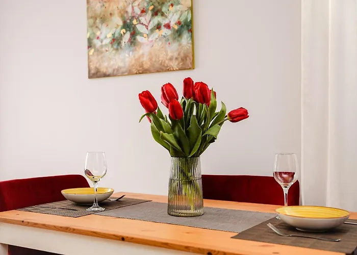 Apartment Dorobantilor Cluj-Napoca