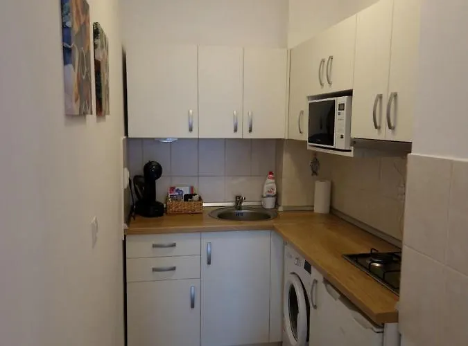 Apartment Dorobantilor Cluj-Napoca