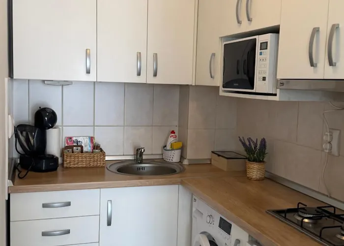 Daire Dorobantilor *