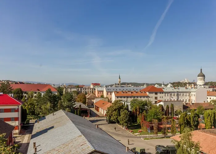 Dorobantilor Apartment